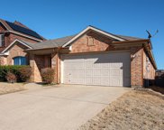 9525 Willow Branch  Way, Fort Worth image