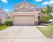 12314 Streambed Drive, Riverview image