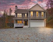 80 Stumpy Oak, Sylva image