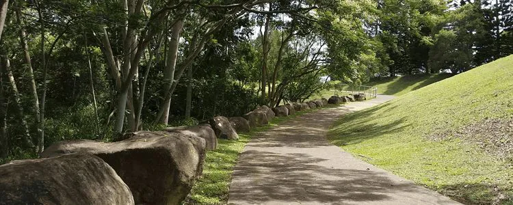 Mililani ravine park Mililani Oahu