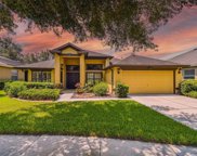 15620 Starling Water Drive, Lithia image