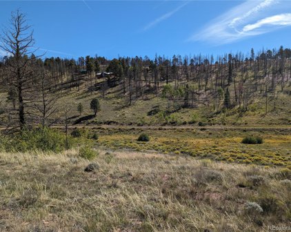 679 Emery Loop, Fort Garland