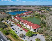 4201 Woodstorks Walk Way Unit 3206, Lutz image