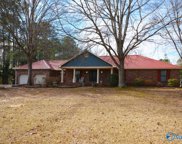 342 Shoal Creek Road, Hartselle image
