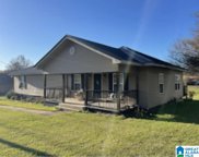 409 Cogswell Avenue, Pell City image
