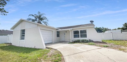 1009 Sagamore Drive, Seffner