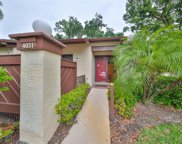 4031 Bluff Oak Court, Palm Harbor image