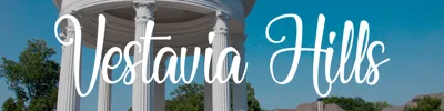 homes for sale in vestavia hills al