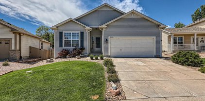 20444 Heather Lane, Parker