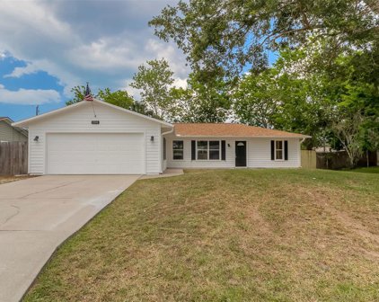 2909 Umbrella Tree Drive, Edgewater