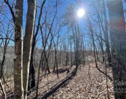 37 +/- Acres Sand Branch  Road, Black Mountain image