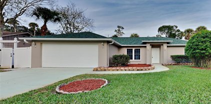 2943 Needle Palm Drive, Edgewater