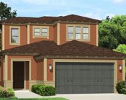 29266 Perilli Place, Wesley Chapel image