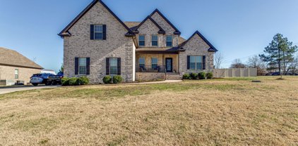 1004 Lewis Downs Dr, Christiana