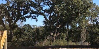 1462 Tangles Trail, Charleston