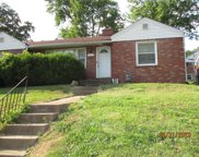 7013 Winchester  Drive, St Louis image