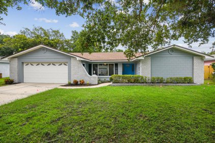 3029 Greenmount Road, Orlando
