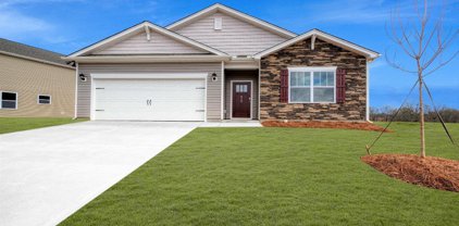 749 Sagegrove Road, Lyman