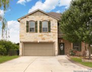 3518 Naumann Way, New Braunfels image
