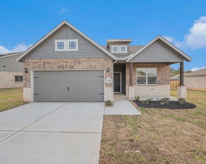 12323 Lake Conroe Hills Drive, Willis
