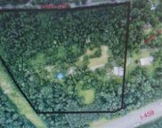 175 Millstone Road, Irondale image