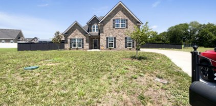 2125 Grandstand Dr, Lascassas