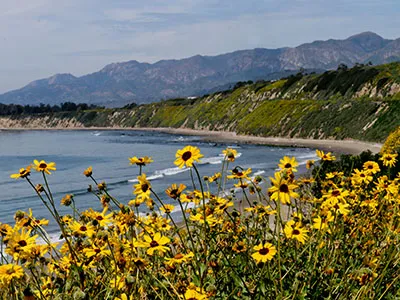 Carpenteria CA Lease to Own Homes Search
