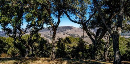 17114 Cachagua RD, Carmel Valley