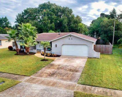 4689 Silvera Drive, Orlando
