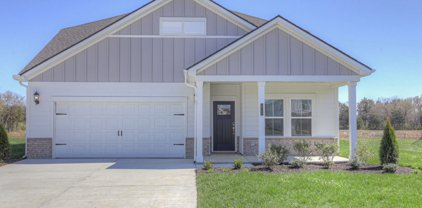 3711 Bonnie Blue Ct, Rockvale