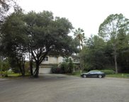 10228 Garden Alcove Drive, Tampa image