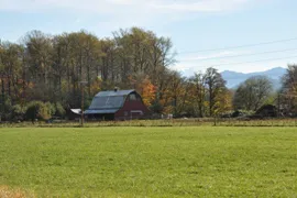 randle farm