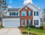 163 Foxtail  Drive, Mooresville image