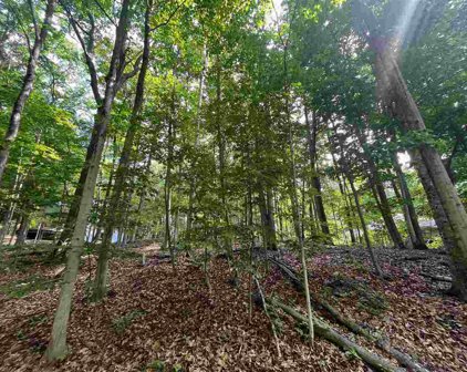 1652 Broken Bow, Harbor Springs