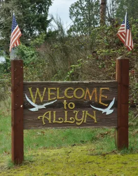 allyn