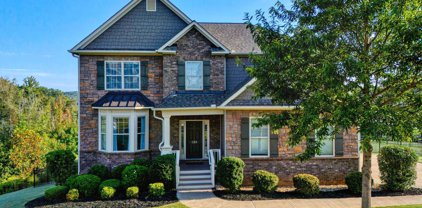 180 Sapphire Pointe Drive, Duncan