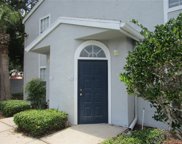 1611 Columbia Arms Circle Unit 235, Kissimmee image