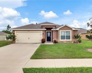 4517 Manica Drive, Tavares image