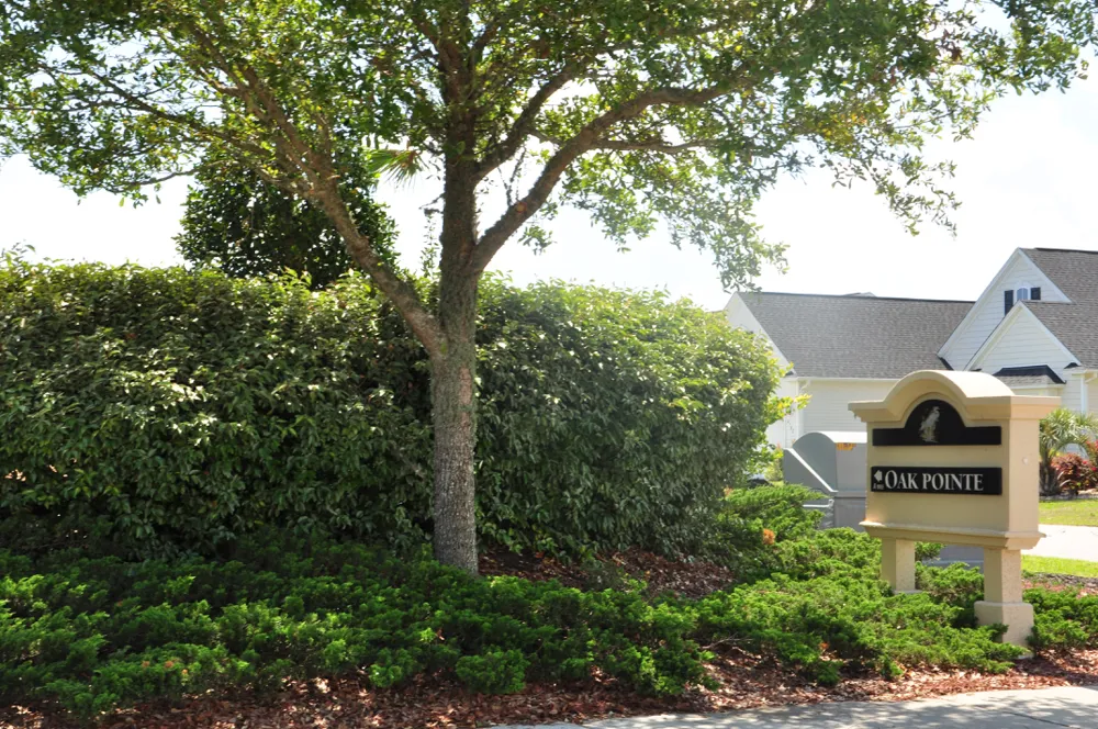 Oak Pointe