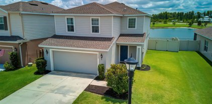 10280 Hawks Landing Drive, Land O' Lakes