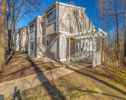 2318 Millennium Ln, Reston
