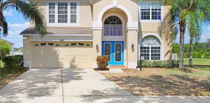 15542 Long Cypress Drive, Ruskin