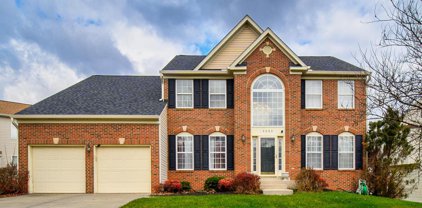 8202 Red Gate Ct, Bowie