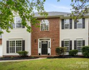 123 Nims Spring  Drive, Fort Mill image