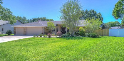 2830 Timber Knoll Drive, Valrico