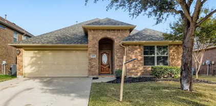 2537 Flowing Springs  Drive, Fort Worth