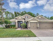 8846 Crystal Creek Court, Land O' Lakes image