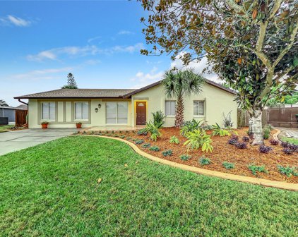 2415 Marley Court, Orlando