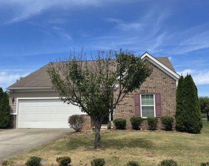 3128 Blakely Drive, Murfreesboro