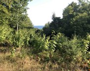 6085 White Pine Drive, Harbor Springs image